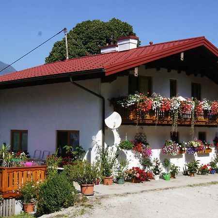Bio-Bauernhof Greiml Apartment Грьобминг Екстериор снимка